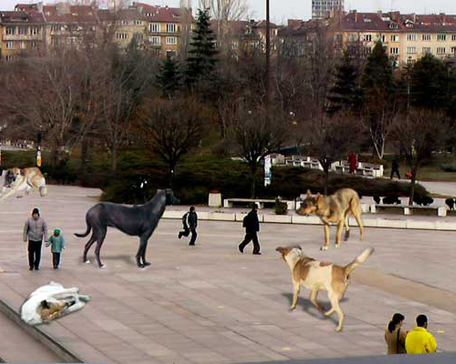 детайл
