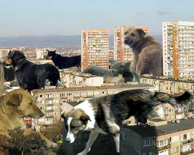 детайл