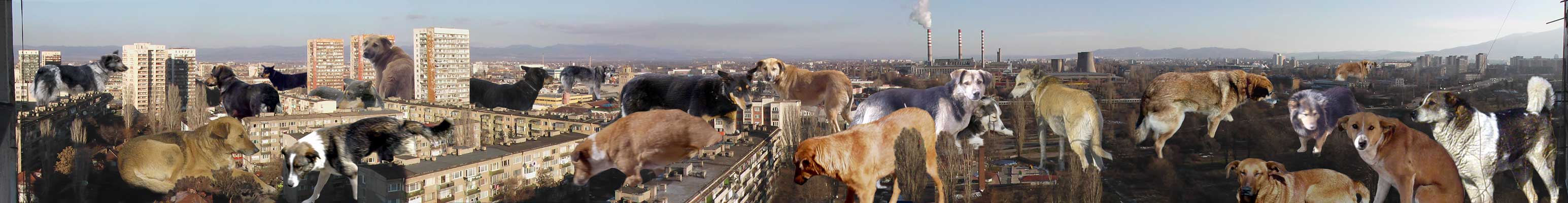 Събърбия I