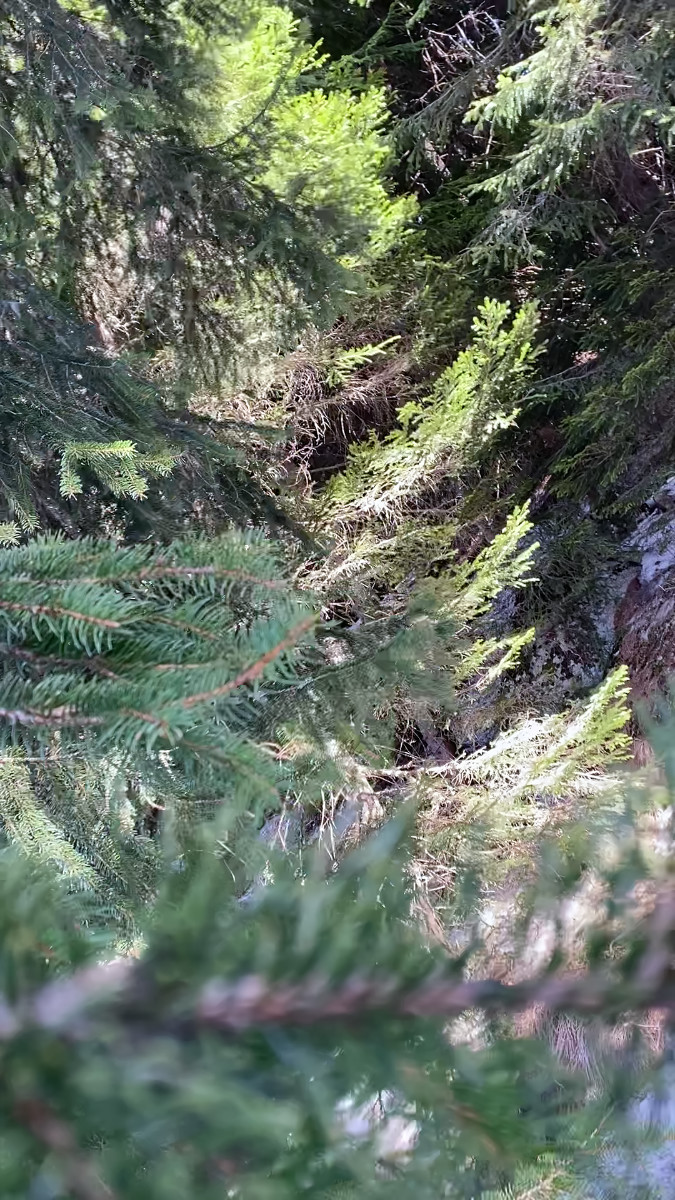 still from video