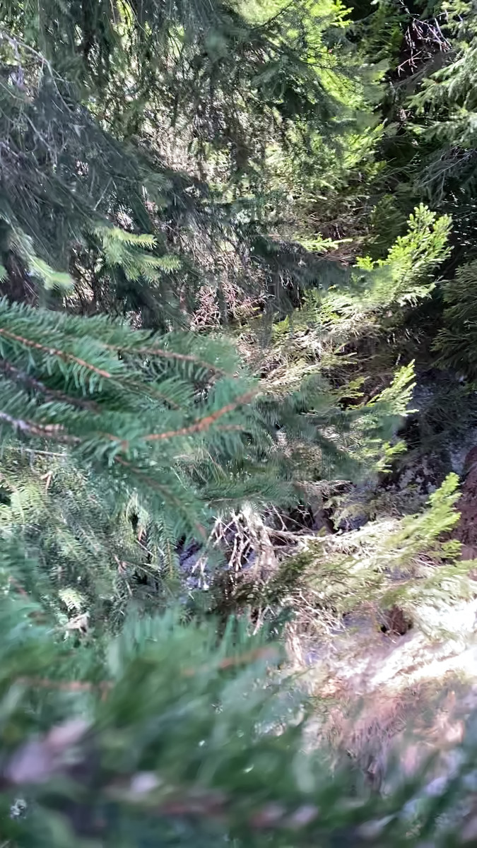 still from video