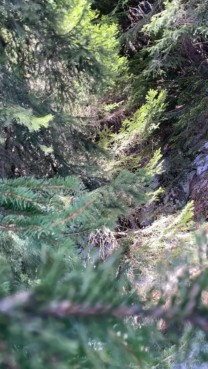 still from video