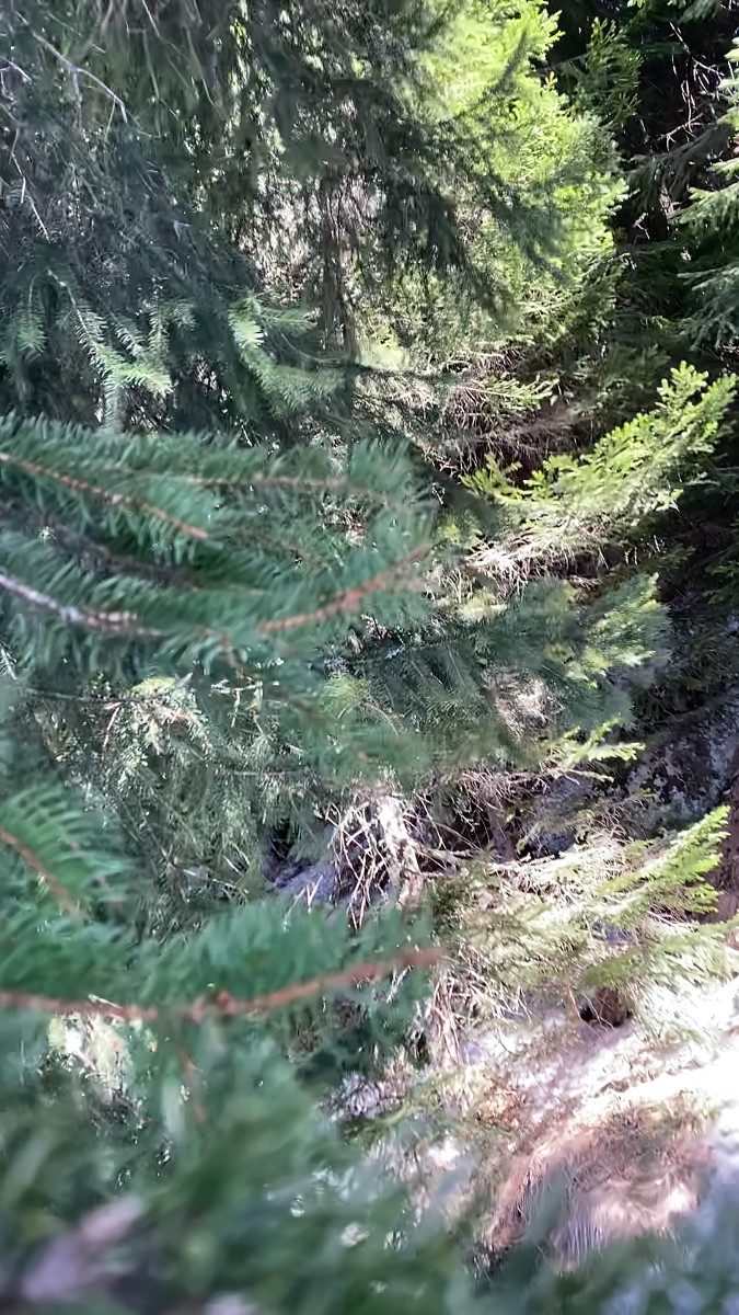 still from video