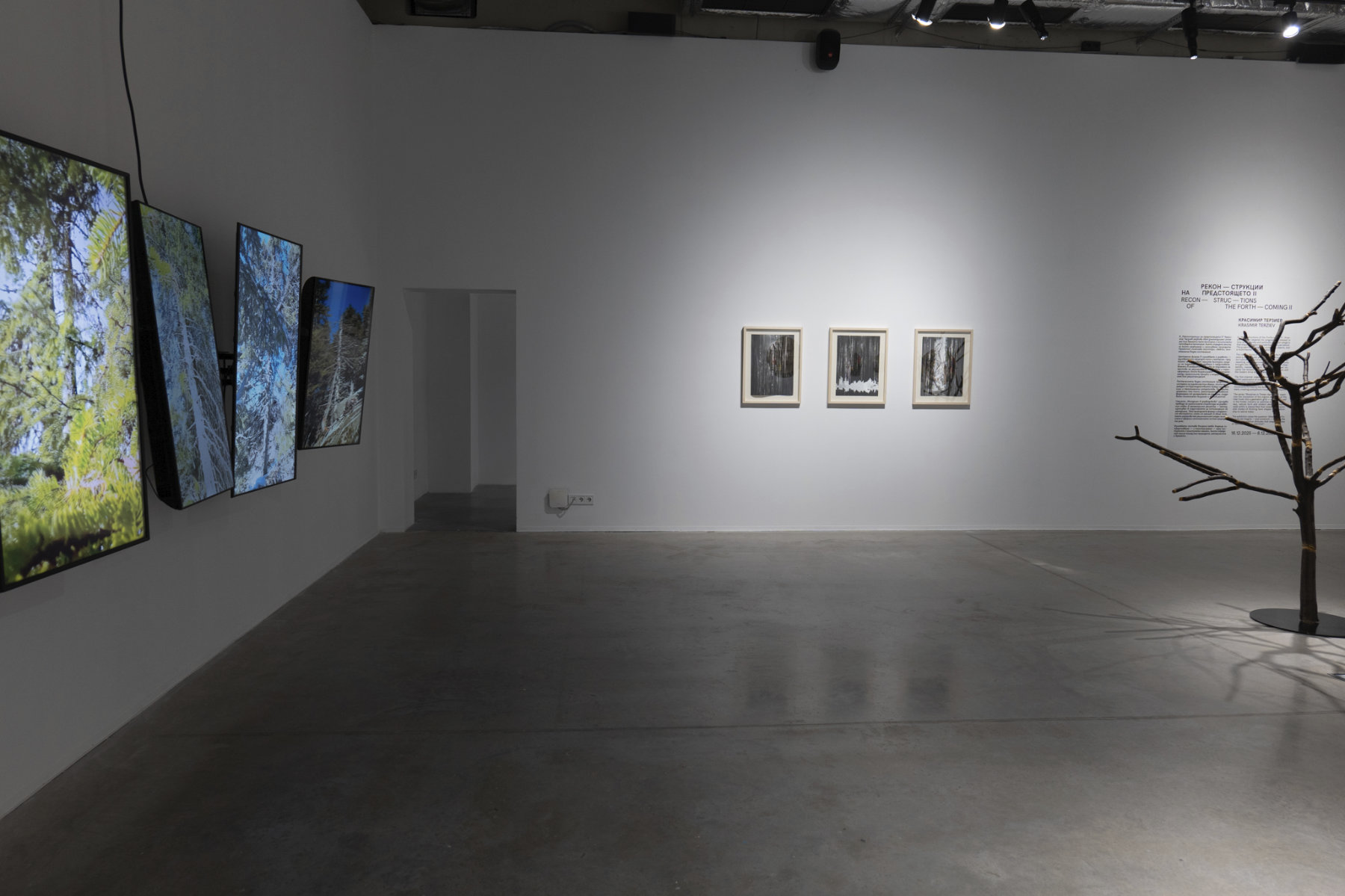 installation view
