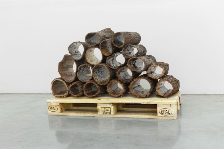 Има зими за които никой не е подготвен (Пролет)