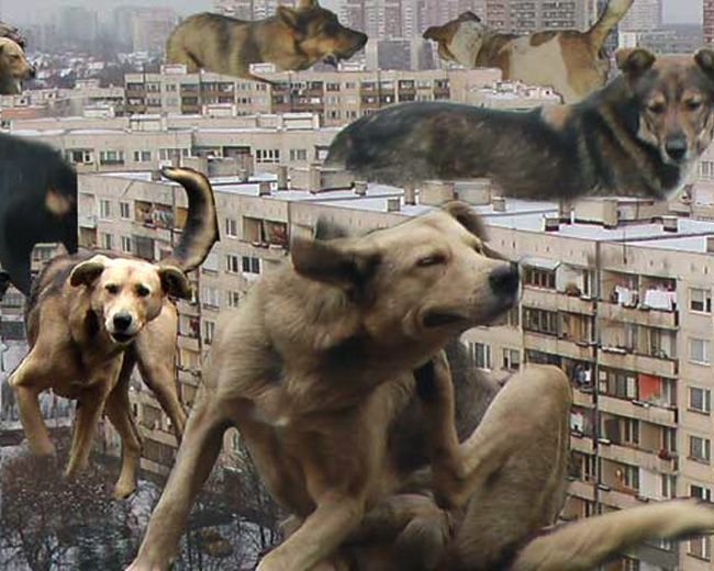 Пост-урбанистични пейзажи