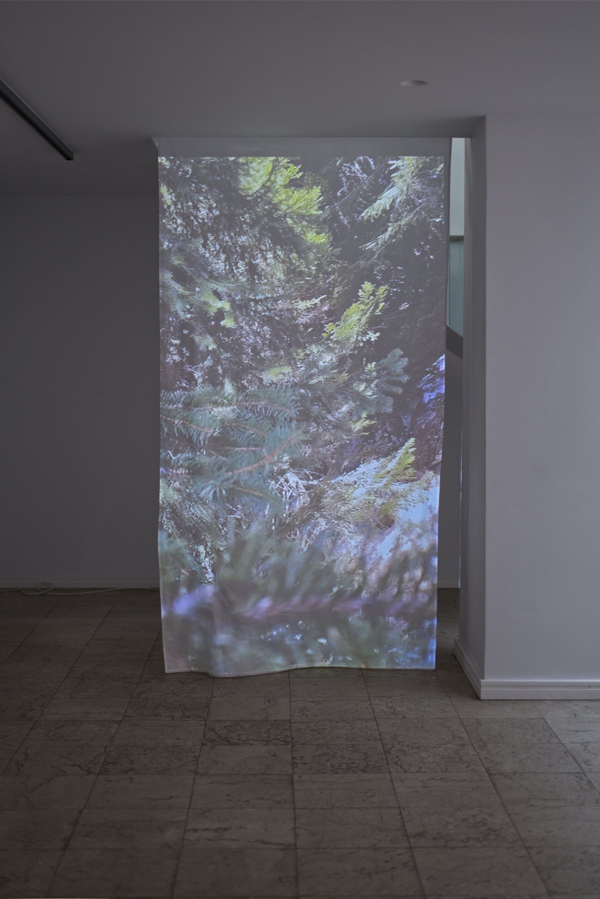 From the Wind's Perspective