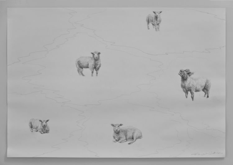 Нов световен ред