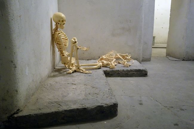 Опитомяване. Първите пет хиляди години