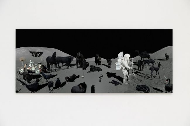 Програма Аполо Melanist