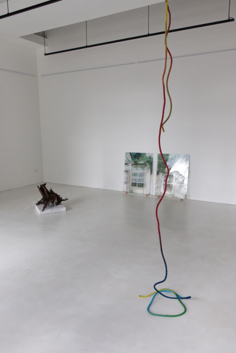 Kalina Dimitrova and Krassimir Terziev: BiosPolis